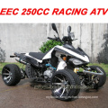 200CC EEC ATV 200CC QUAD BIKE 200CC QUAD ATV(MC-387)